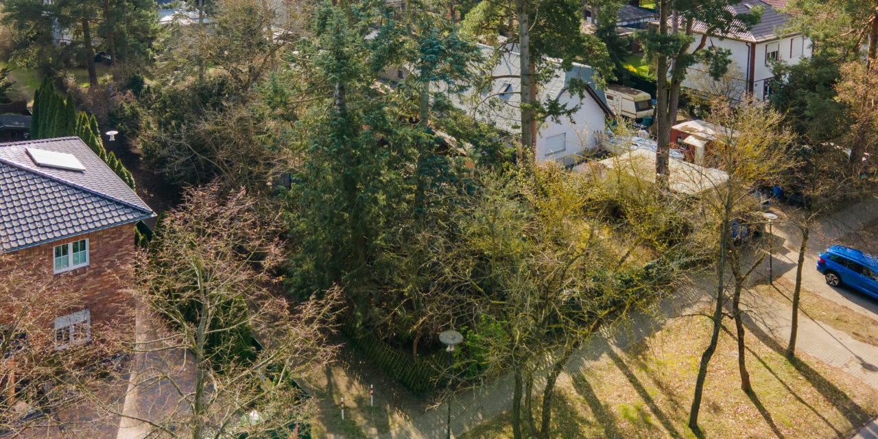 Grundstücke für Einfamilienhaus/Doppelhaus in Waldesruh