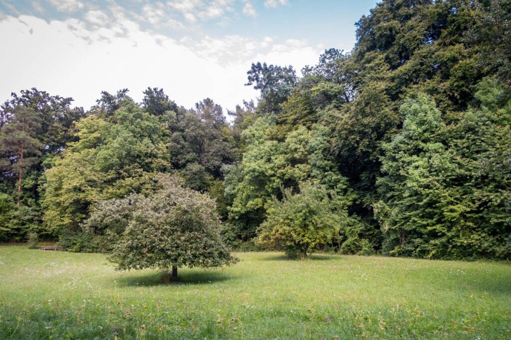 Baugrundstück für eine Doppelhaushälfte in Stolzenhagen