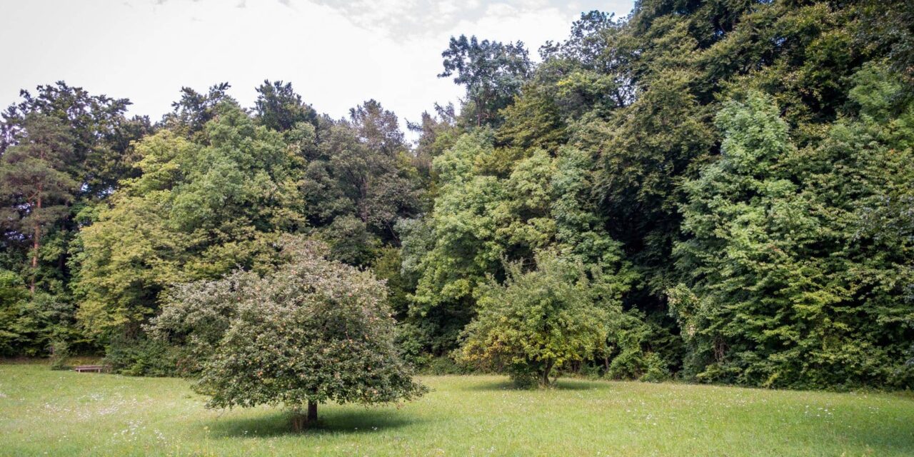 Baugrundstück für eine Doppelhaushälfte in Stolzenhagen